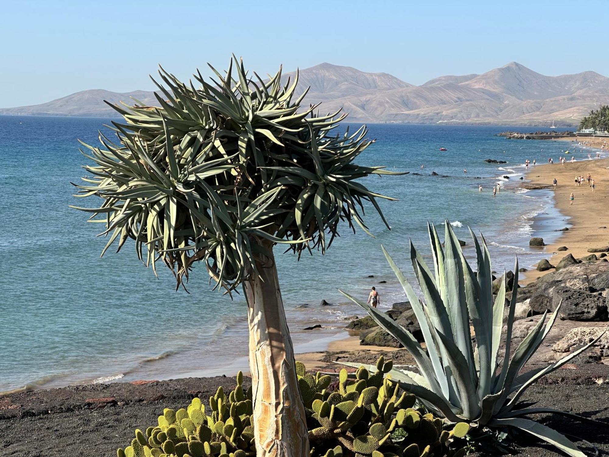 Sea View With Direct Access To Boulevard Puerto del Carmen  Buitenkant foto